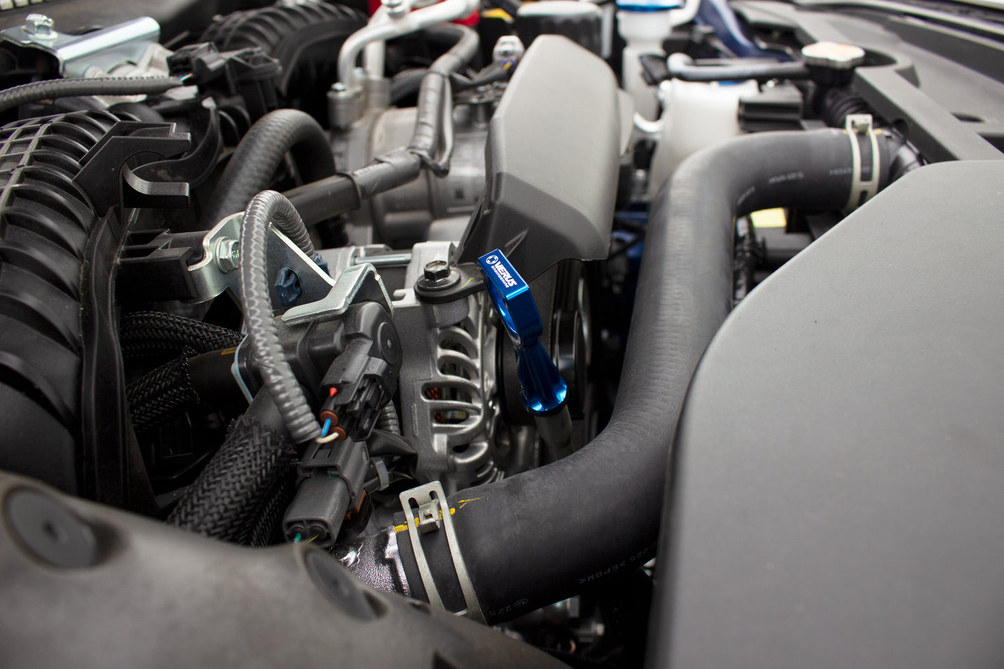 Verus Engineering Dip Stick - 2023+ Toyota GR Corolla (GZEA14)