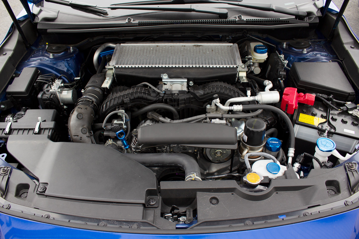 Verus Engineering Dip Stick - 2023+ Toyota GR Corolla (GZEA14)